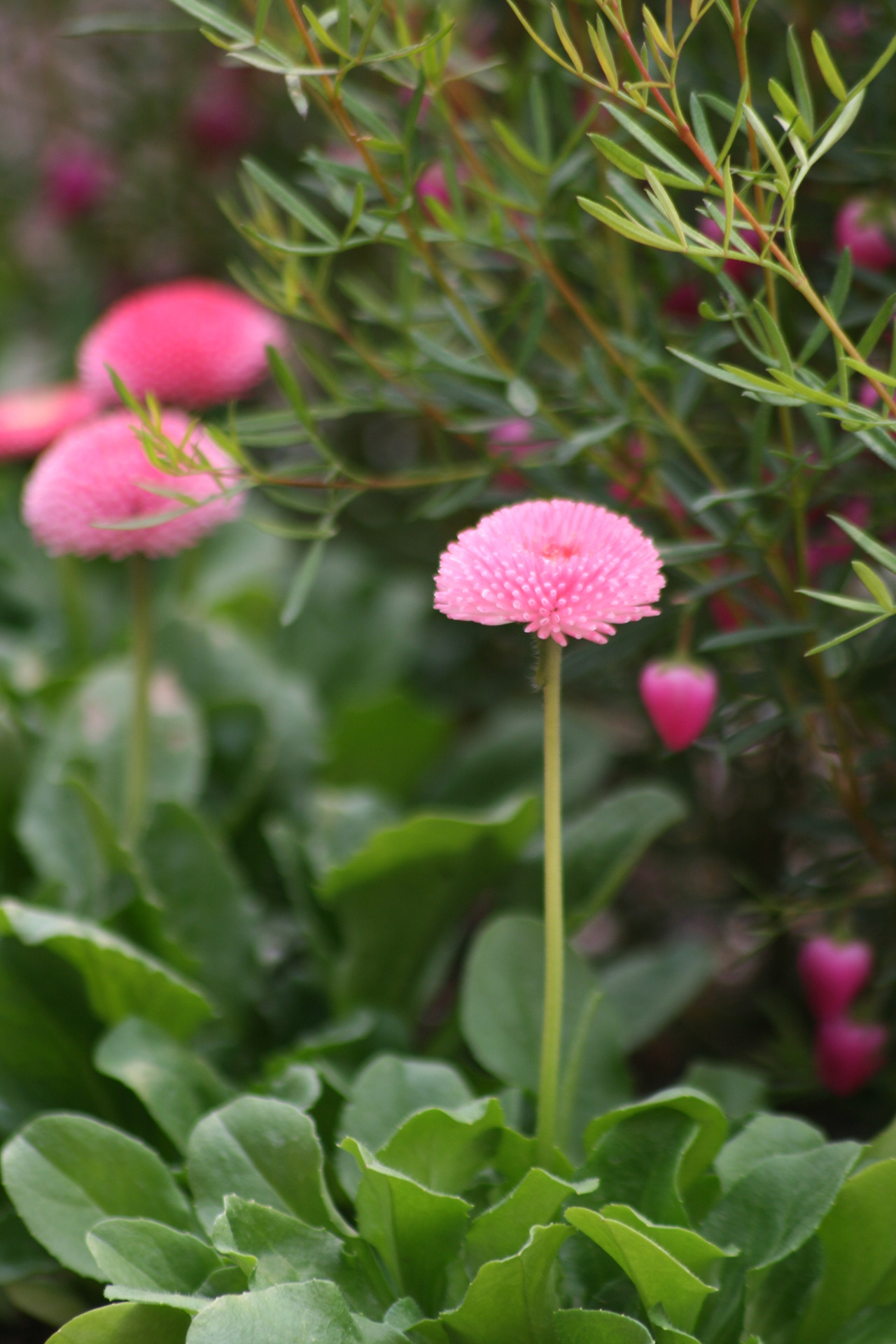 0002040 - 복사본.jpg