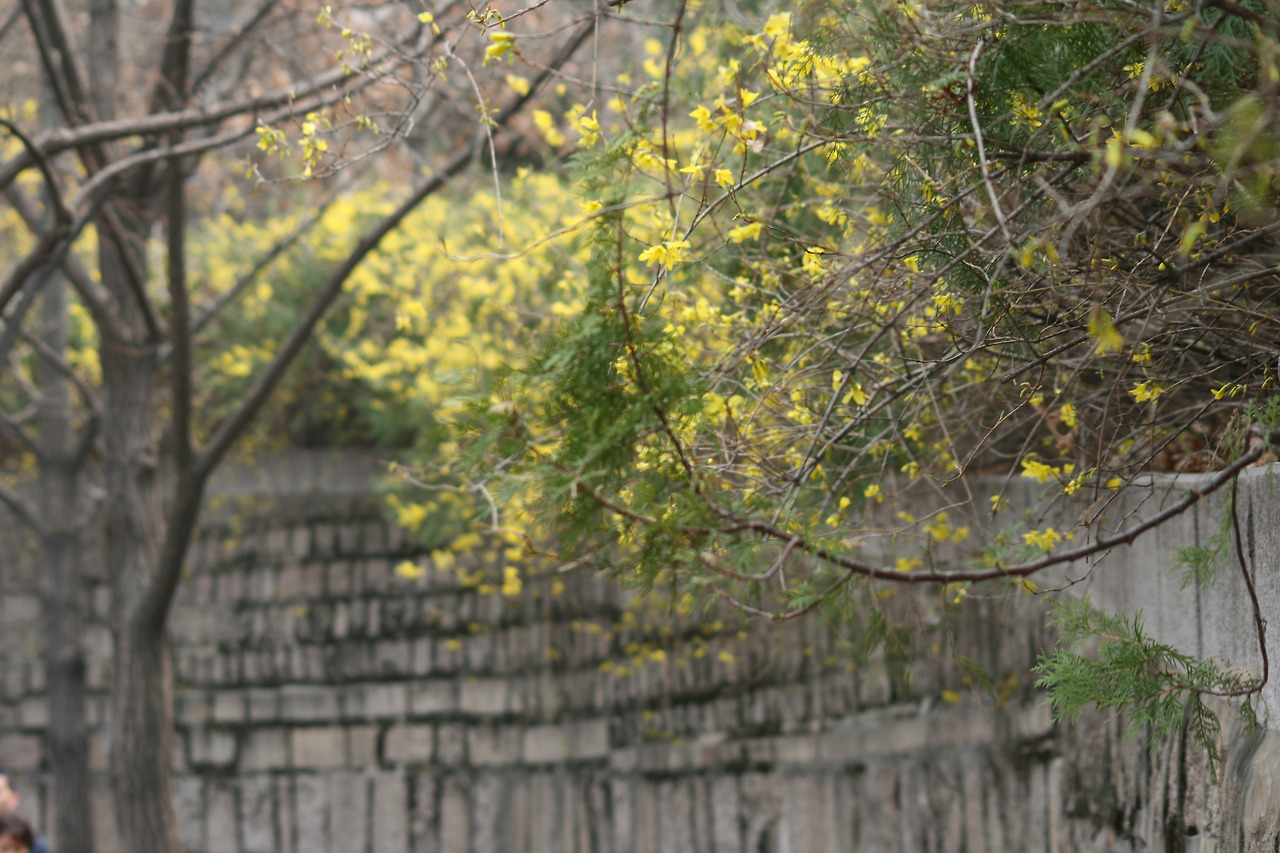 0002001 - 복사본.jpg