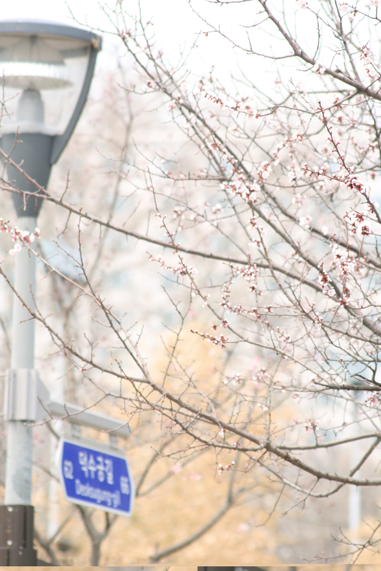 0002002 - 복사본.jpg