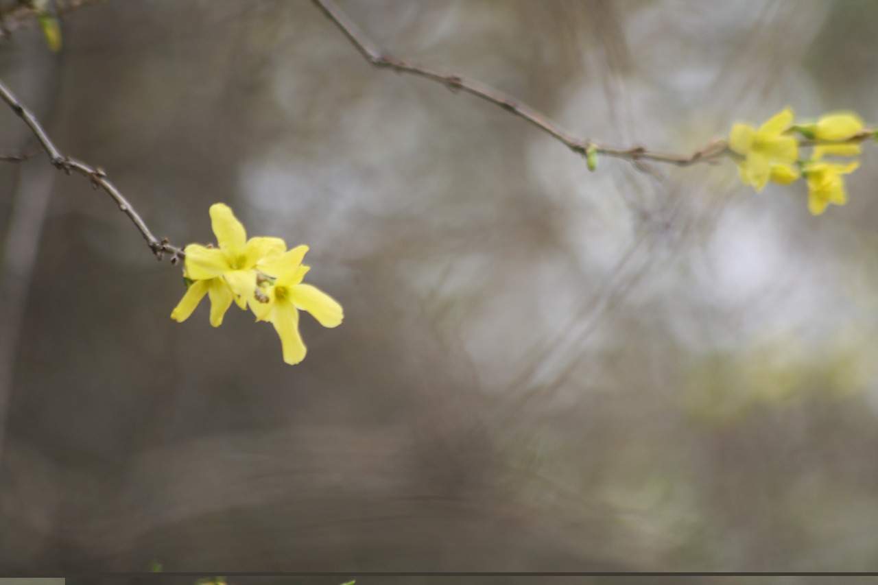 0001998 - 복사본.jpg