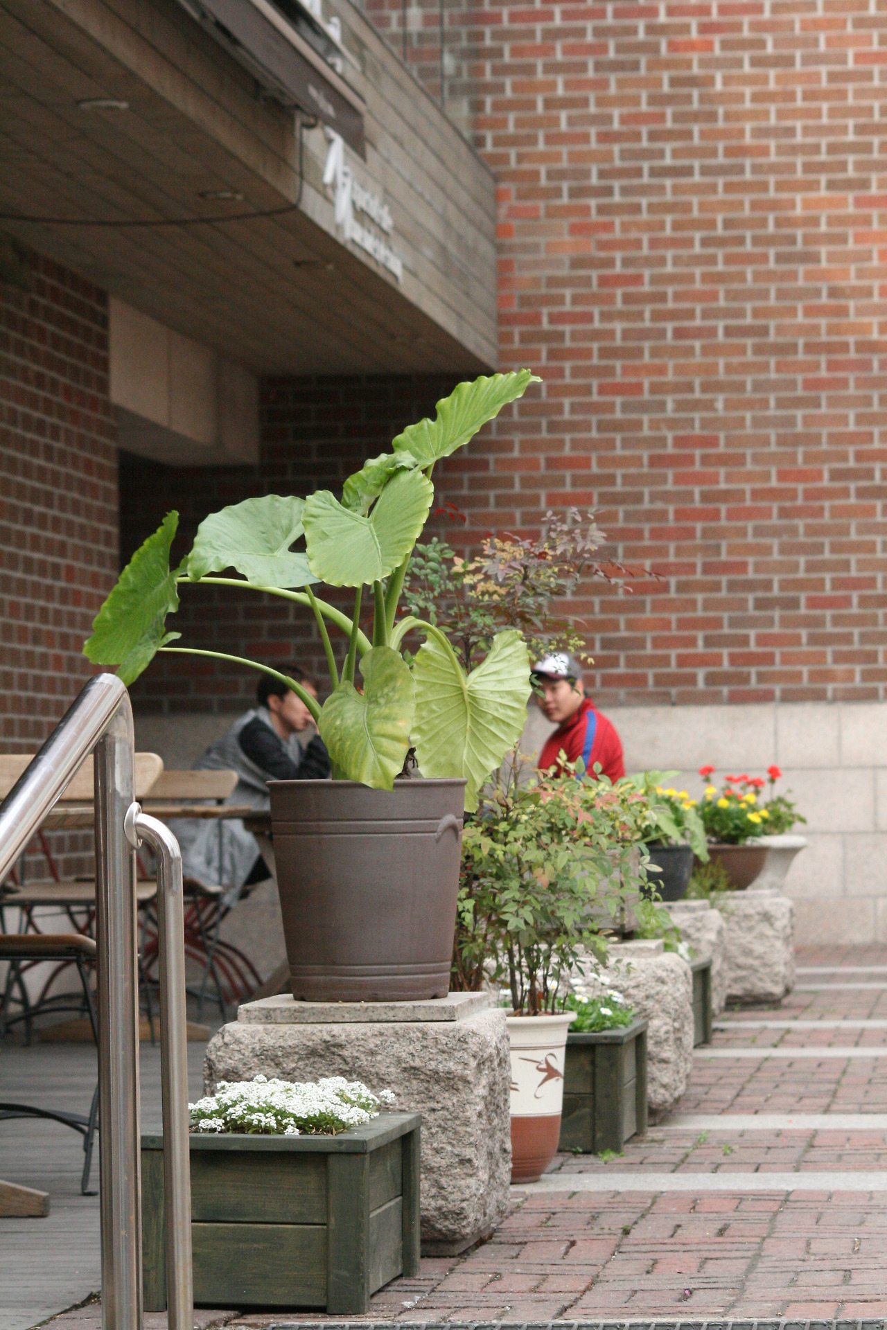 0002035 - 복사본.jpg