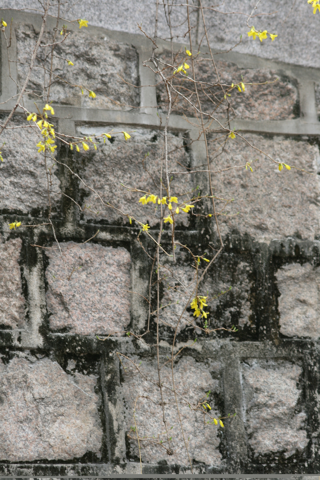 0001996 - 복사본.jpg