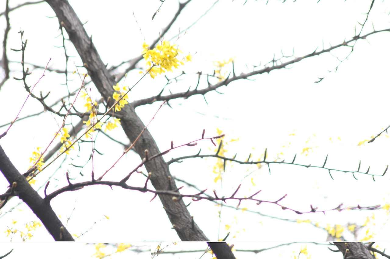 0001995 - 복사본.jpg