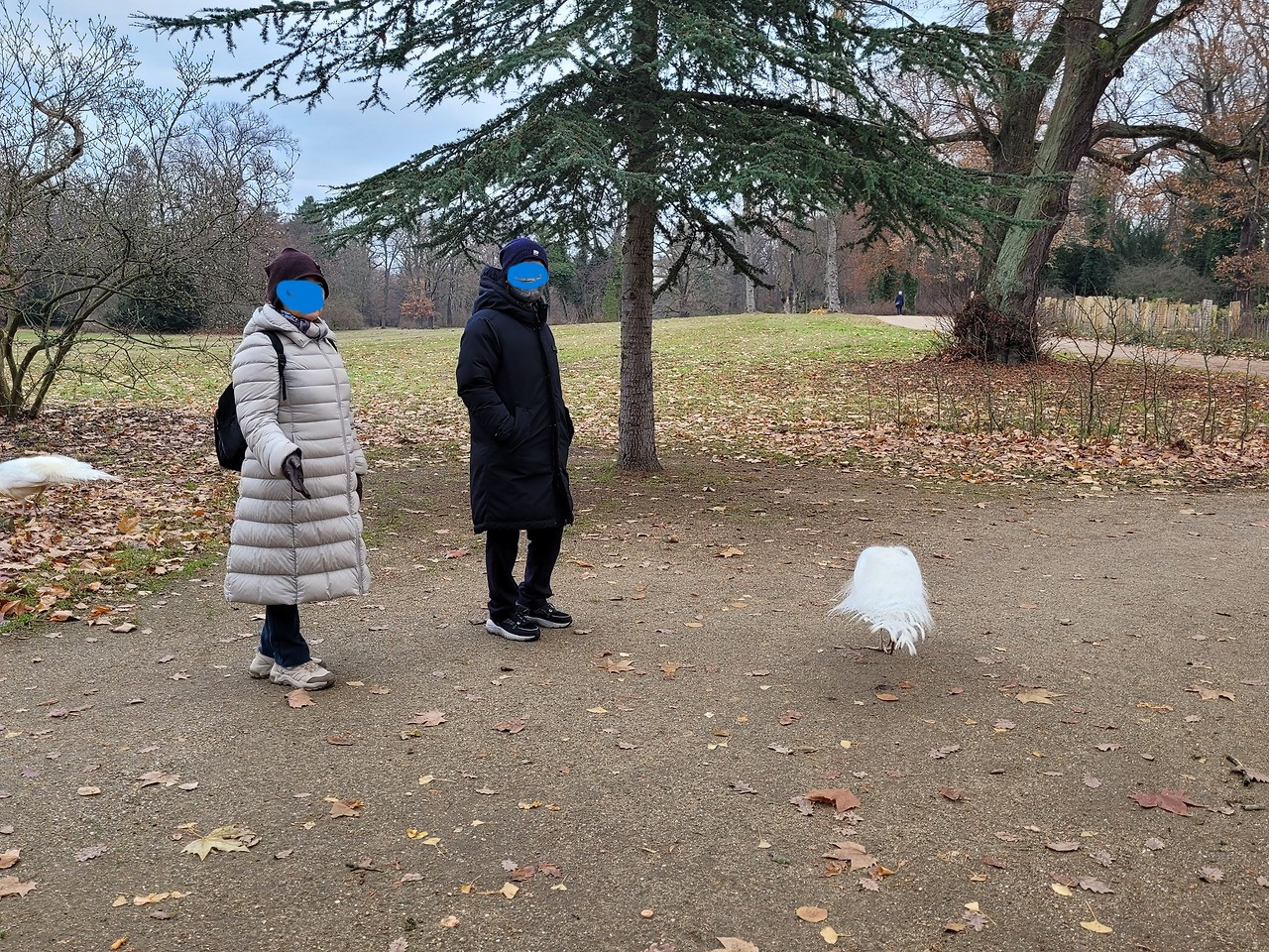 다운로드 (4).jpg