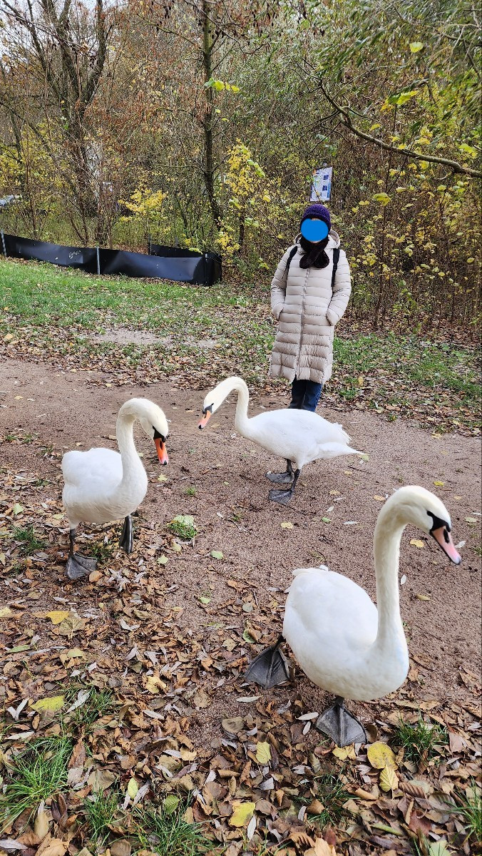 다운로드 (1).jpg