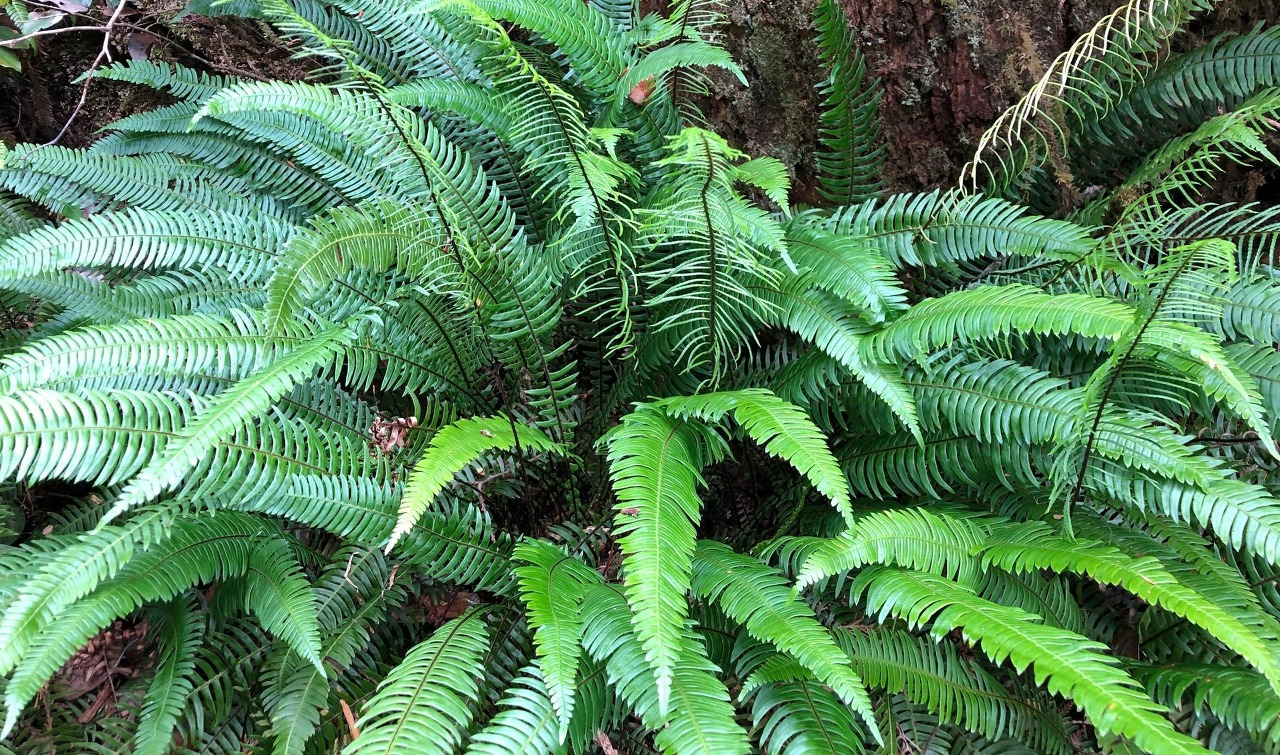 다운로드 (5).jpg