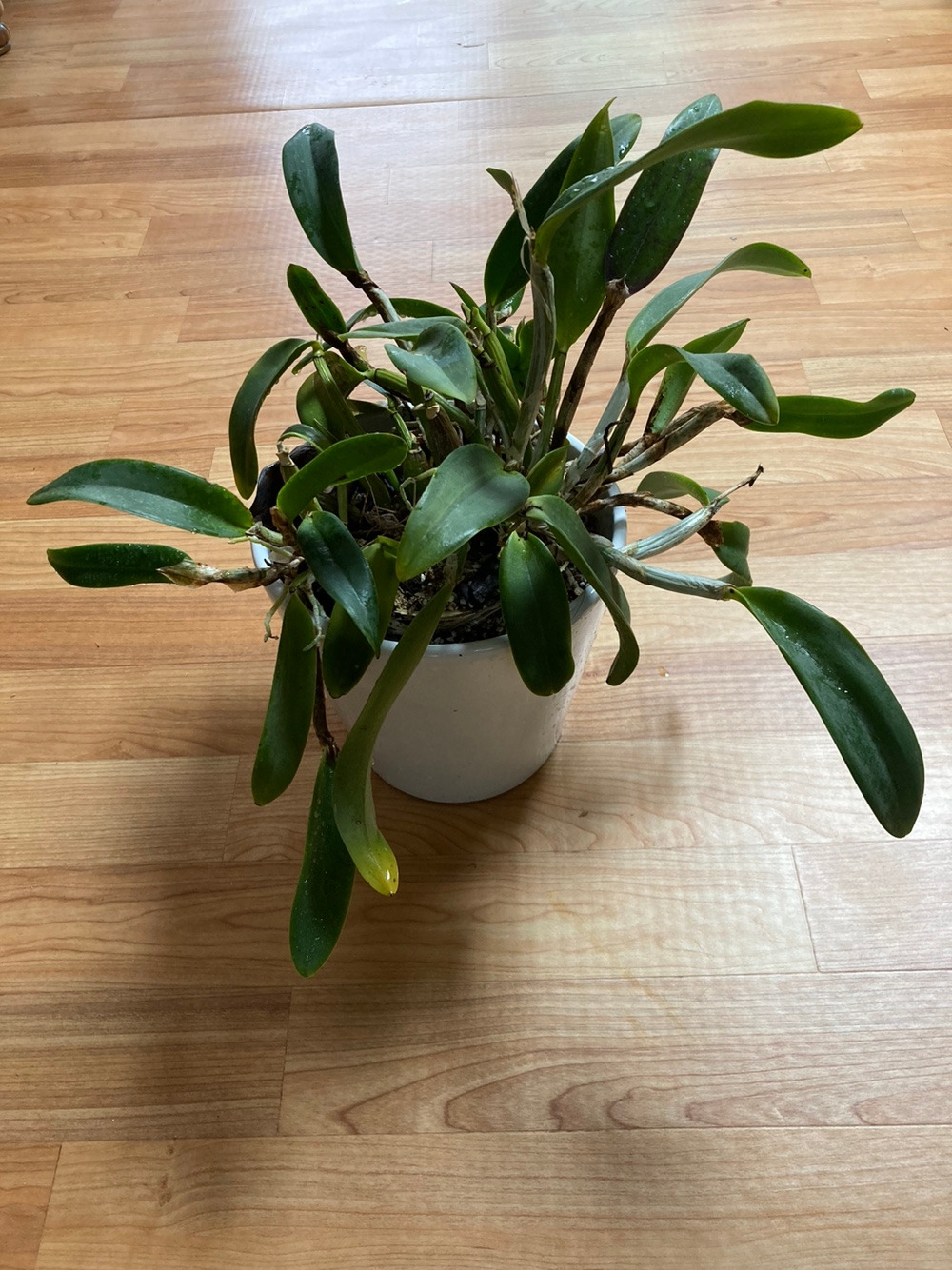 KakaoTalk_20230218_150230863 (1).jpg