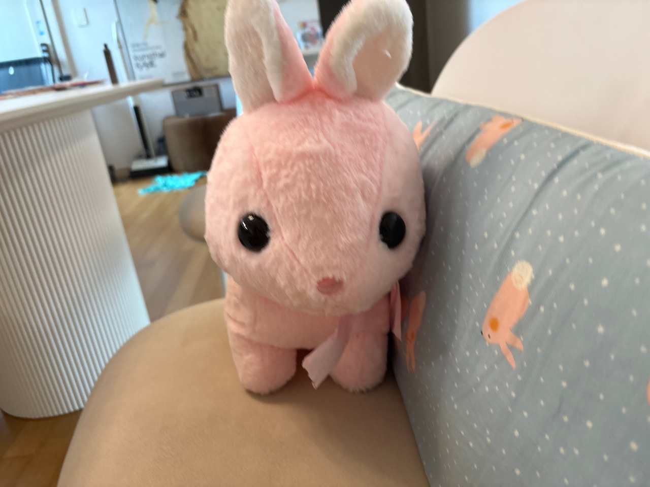 이라애 사진.jpg