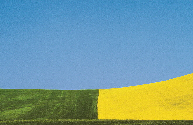 FRANCO FONTANA© BASILICATA 1975 KKYT.jpg