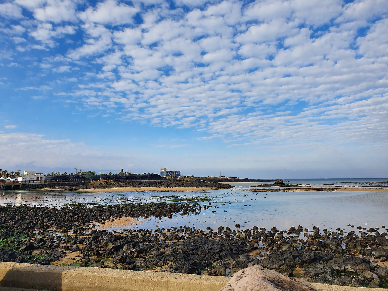 출장 가서 본 바다.jpg