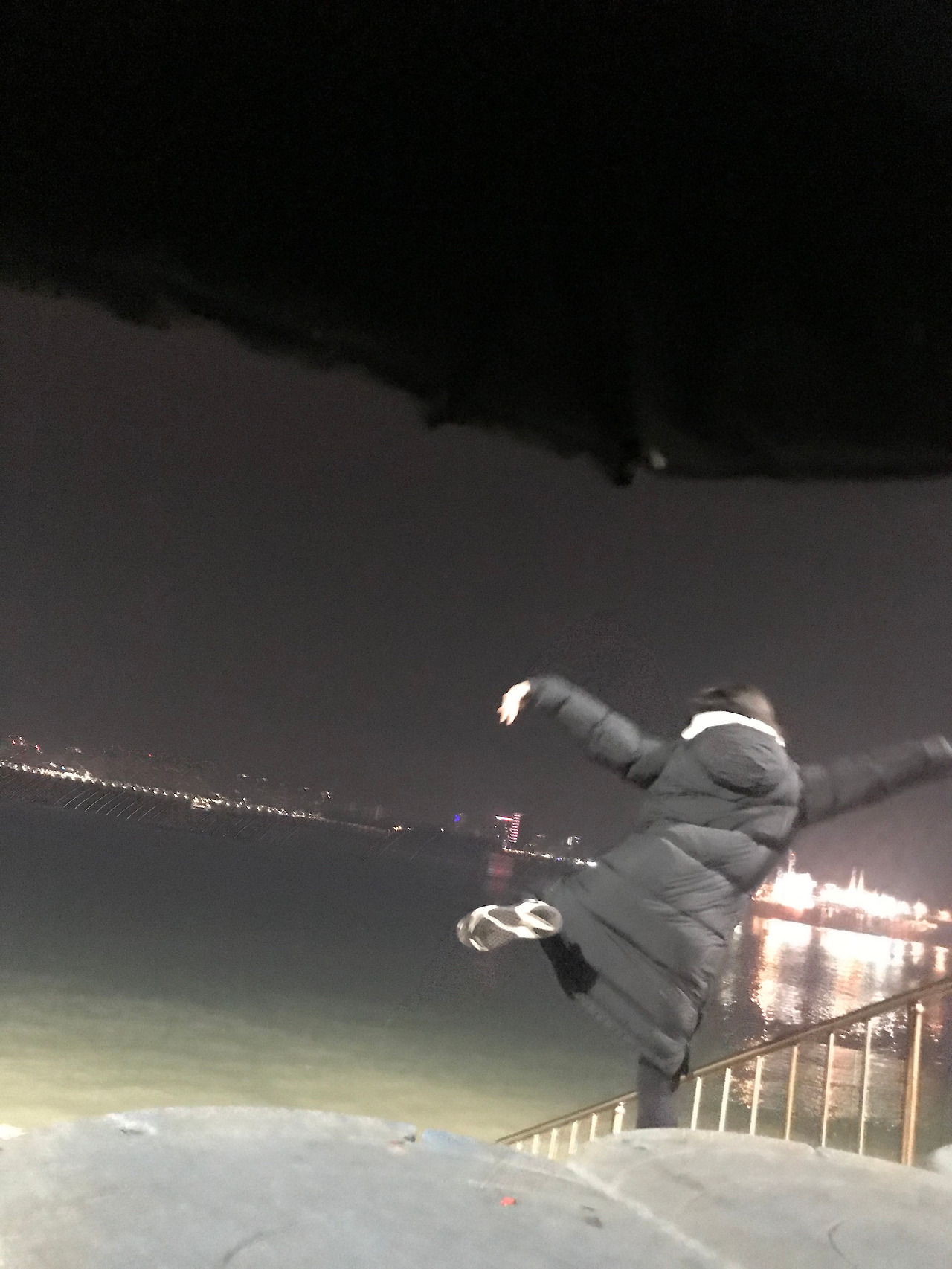 날아가는 모라.jpg