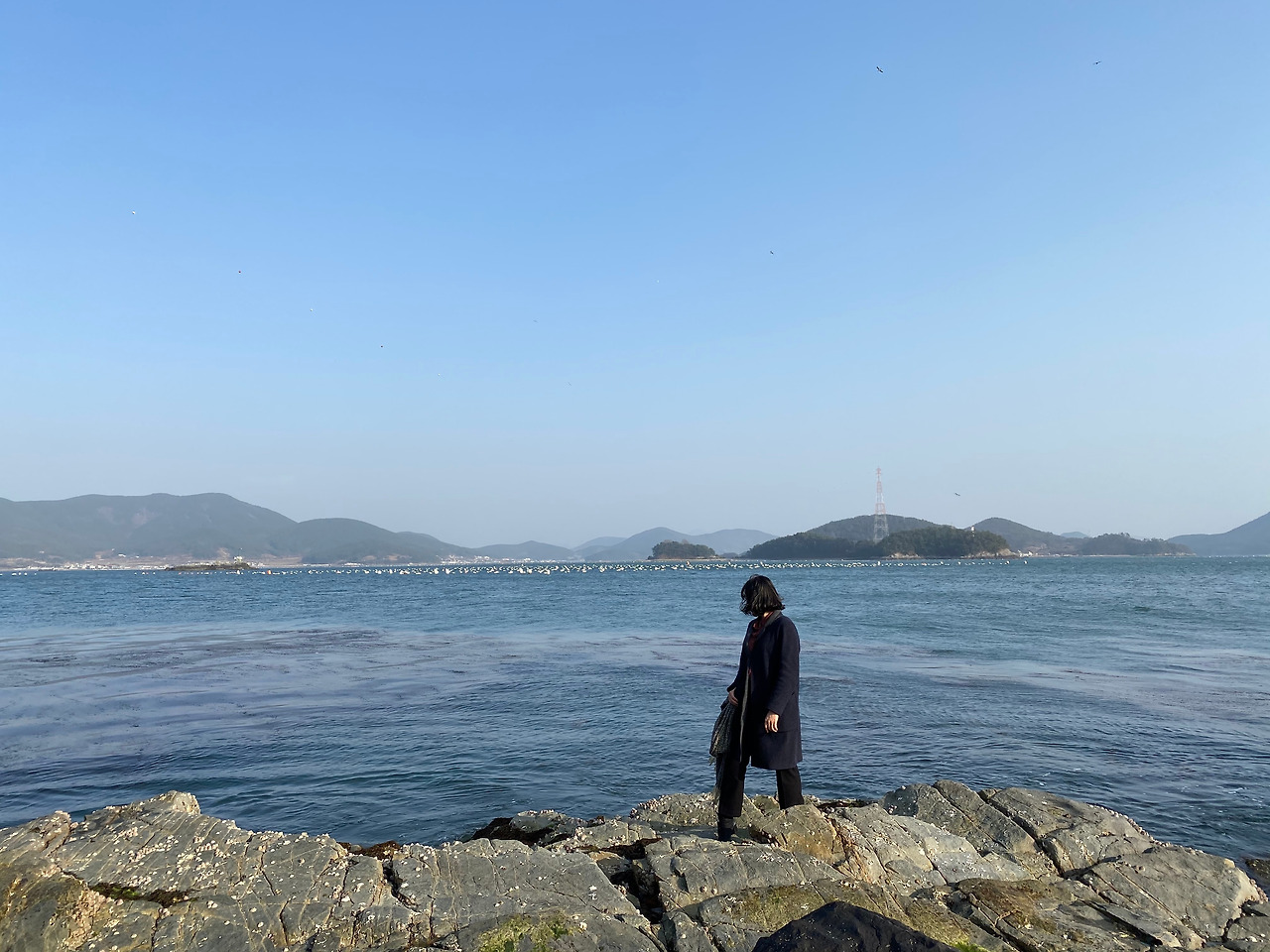 통영 출장 때.jpg