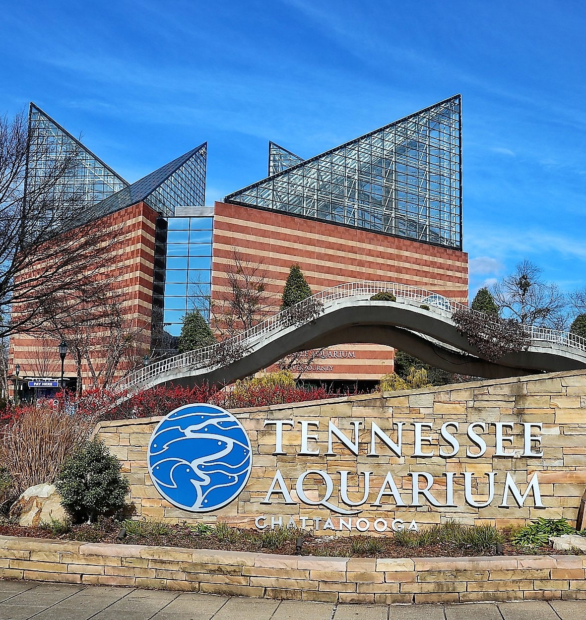 Tennessee Aquarium.jpg