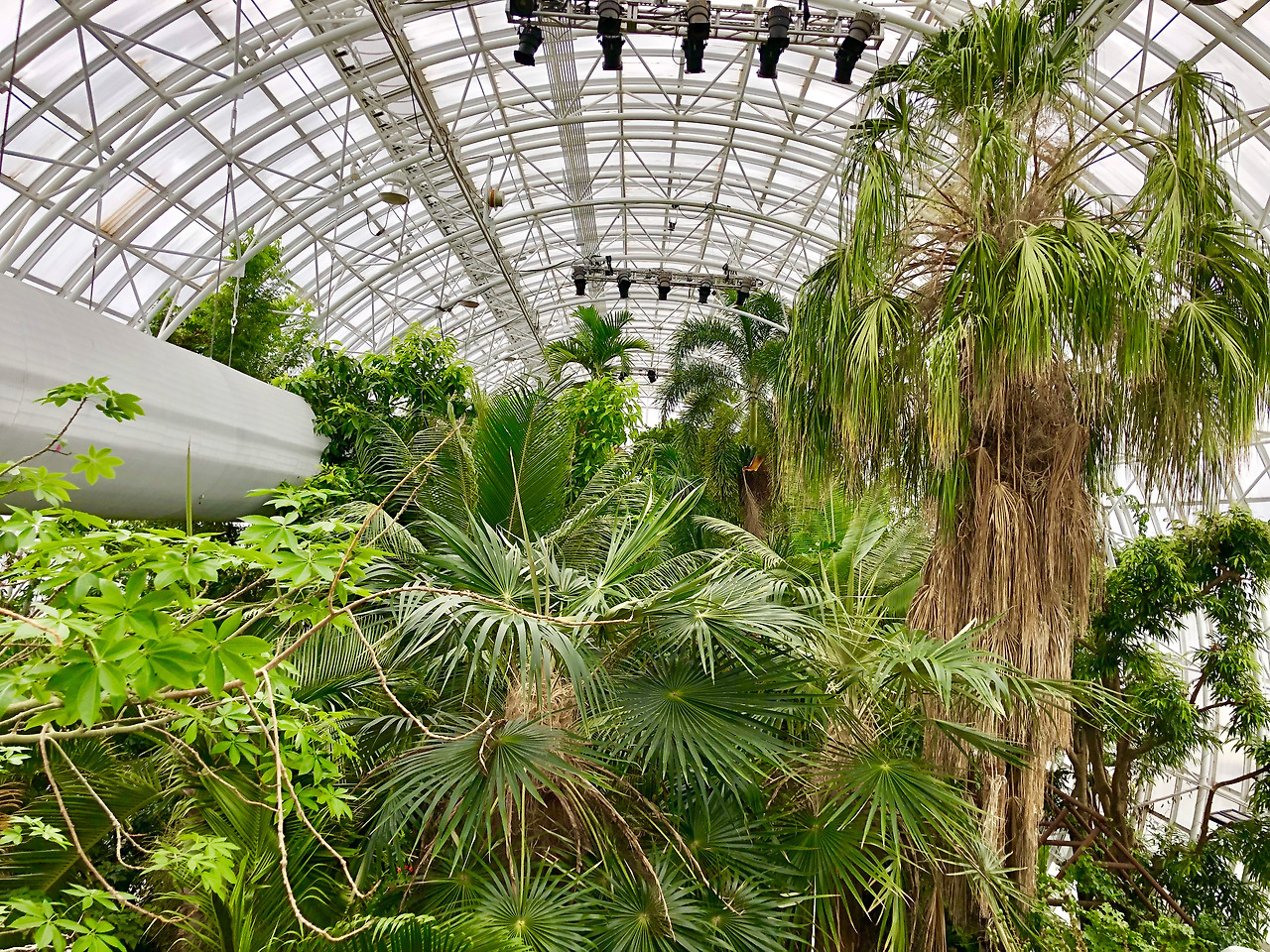 Photo Mar 30, 10 28 37 AM (1).jpg