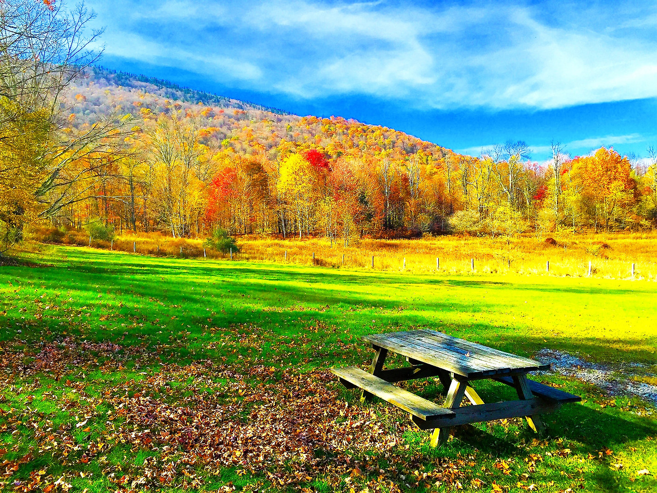 Photo Oct 22, 2 17 02 PM.jpg