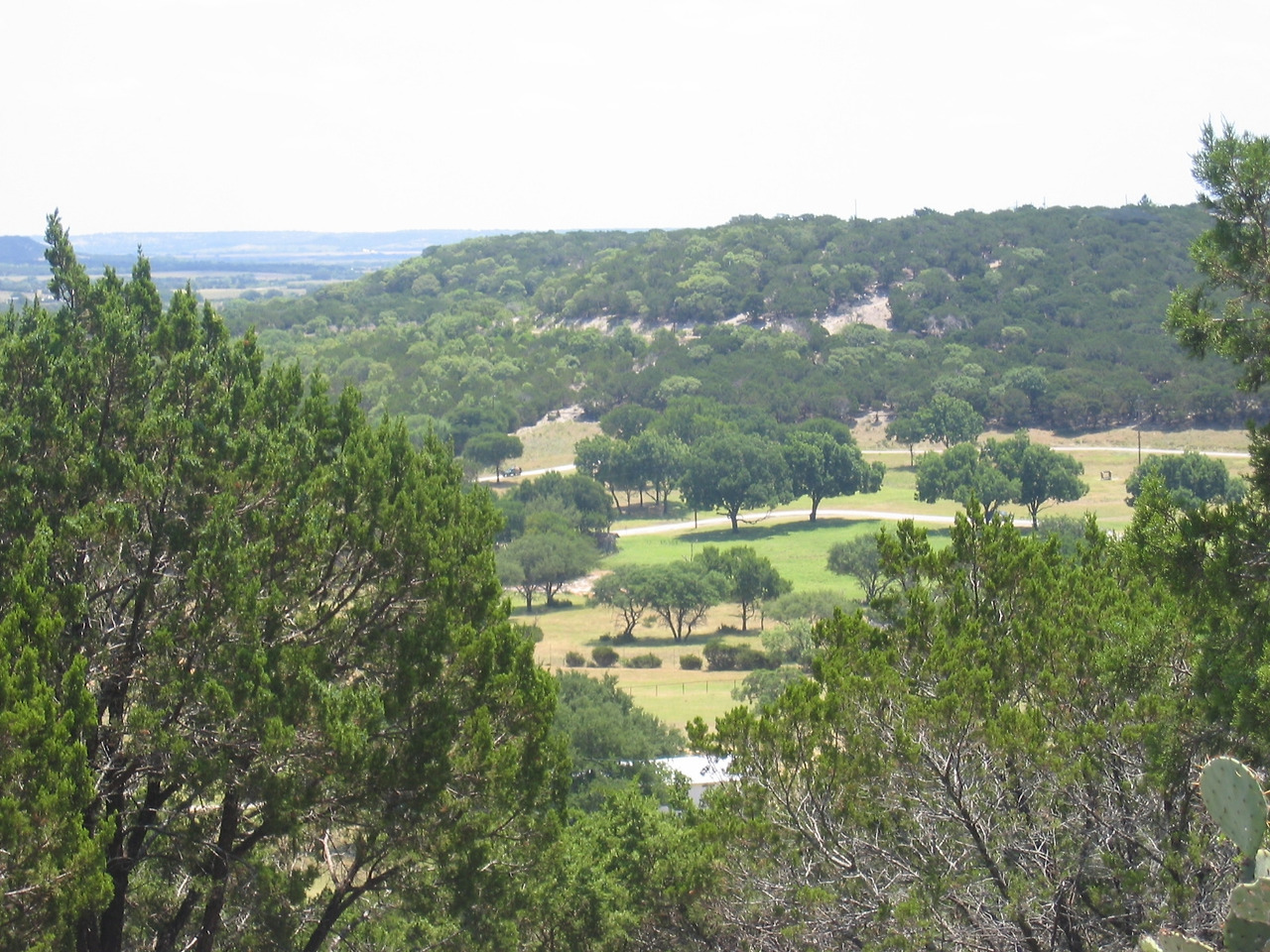 Independence Day Fossil Rim에서 (37).jpg