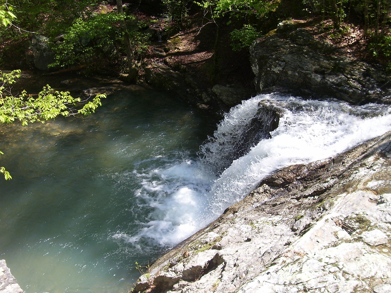 Lake Catherine State Park (3)-Andy-PC.jpg