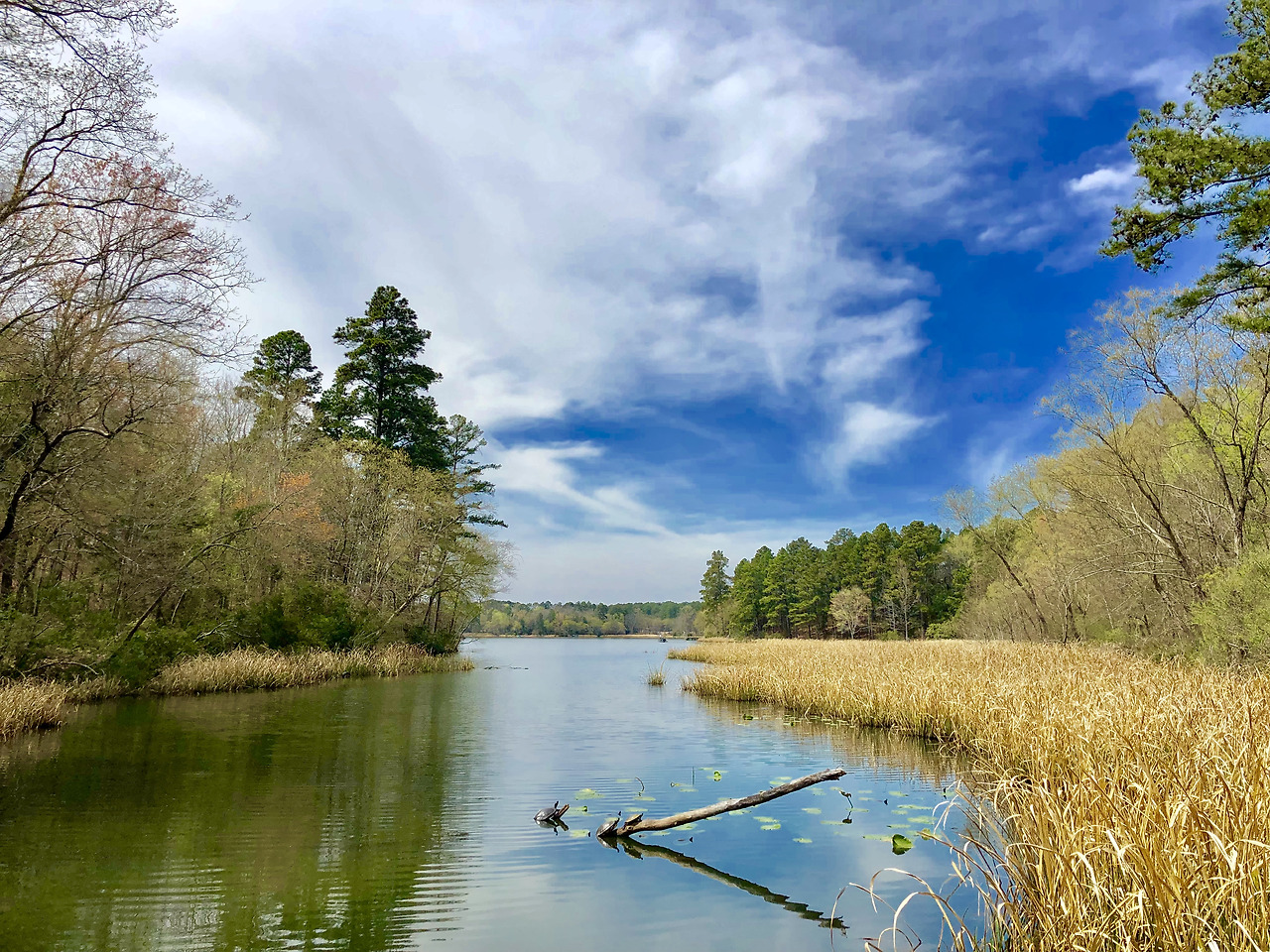 Photo Mar 22, 2 44 34 PM.jpg