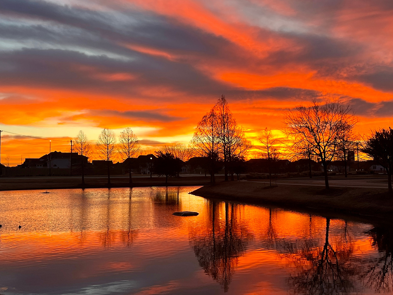 Photo Jan 01 2023, 7 18 39 AM.jpg