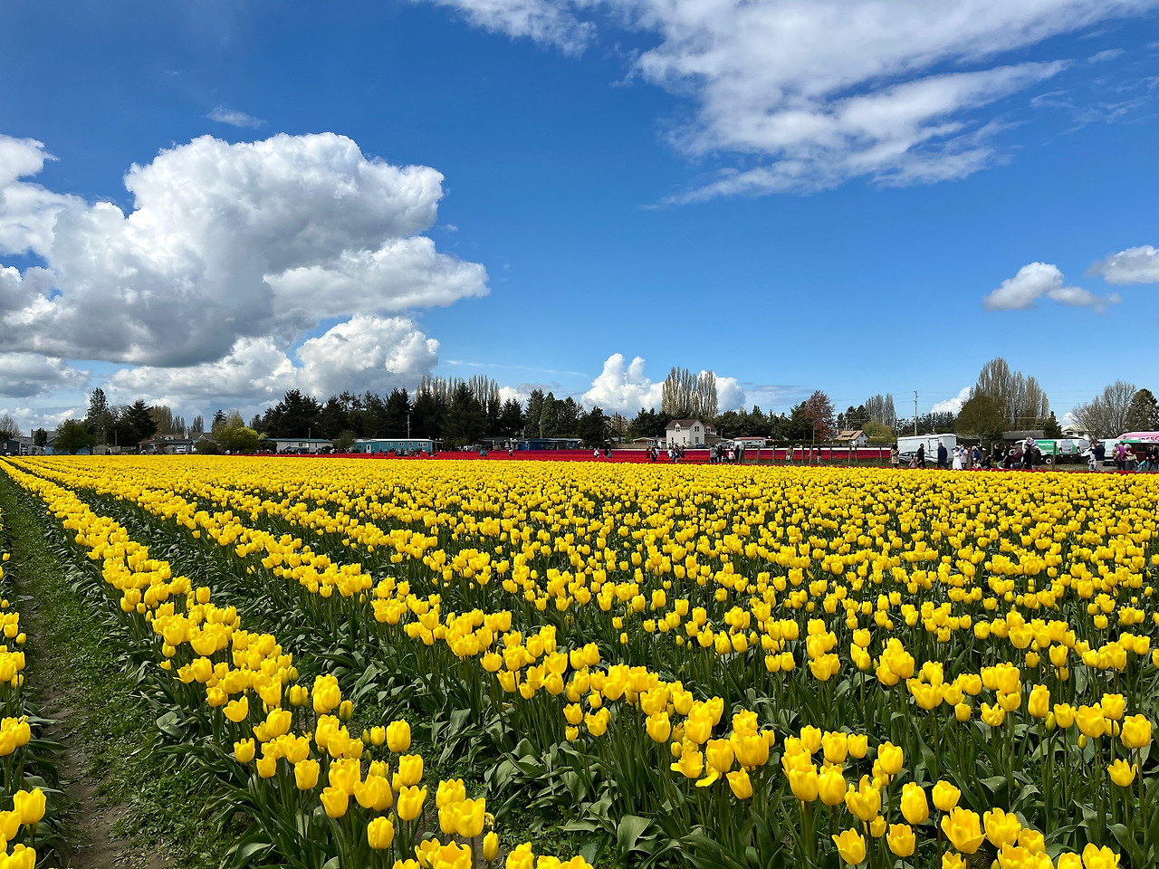 Photo Apr 22, 1 23 15 PM.jpg