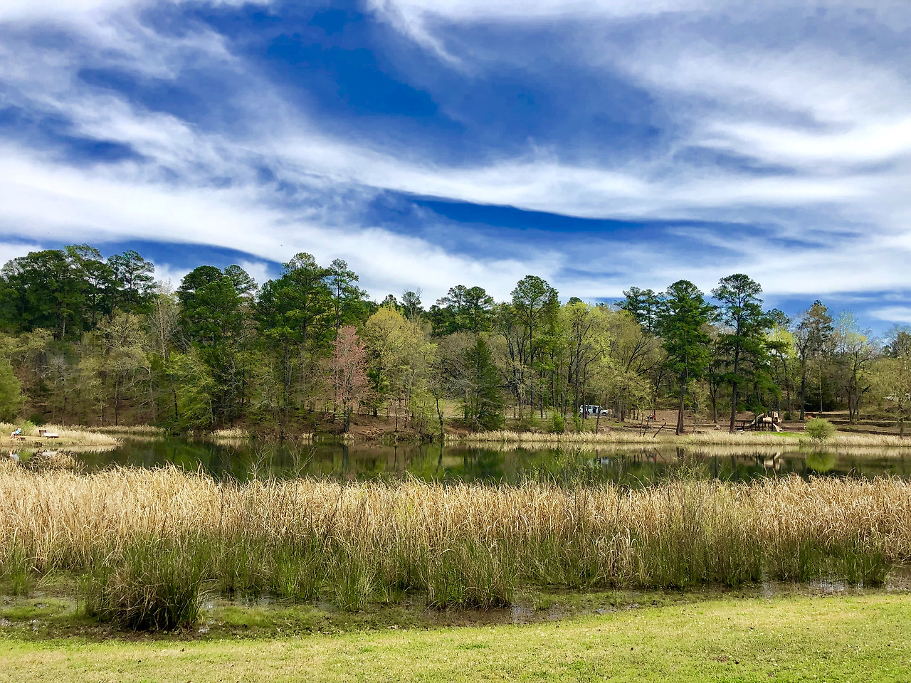 Photo Mar 22, 3 26 29 PM.jpg