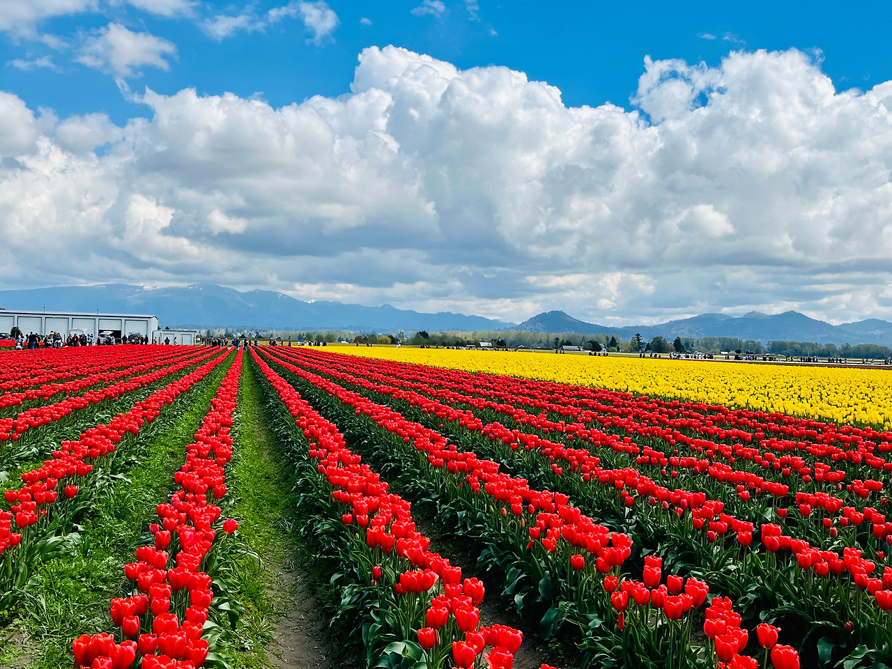 Photo Apr 22, 1 48 24 PM.jpg