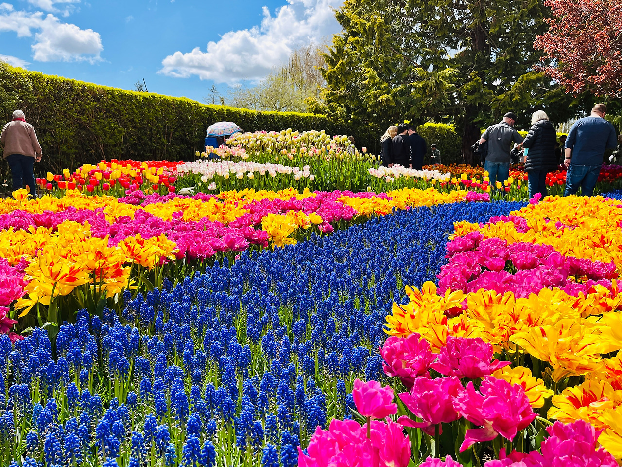 Photo Apr 22, 12 49 44 PM.jpg