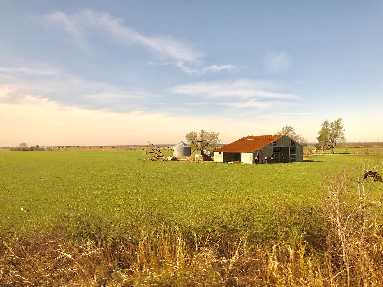 Photo Mar 31, 9 29 42 AM.jpg