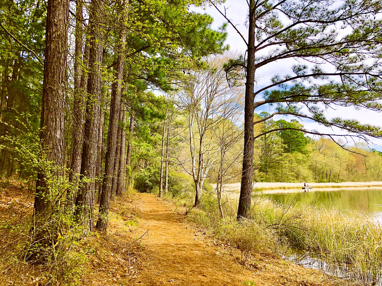 Photo Mar 22, 2 36 43 PM.jpg