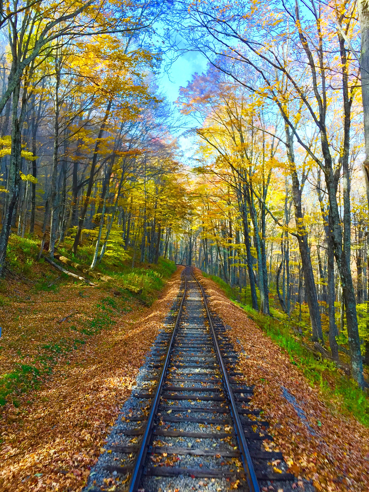 Photo Oct 22, 2 03 57 PM.jpg