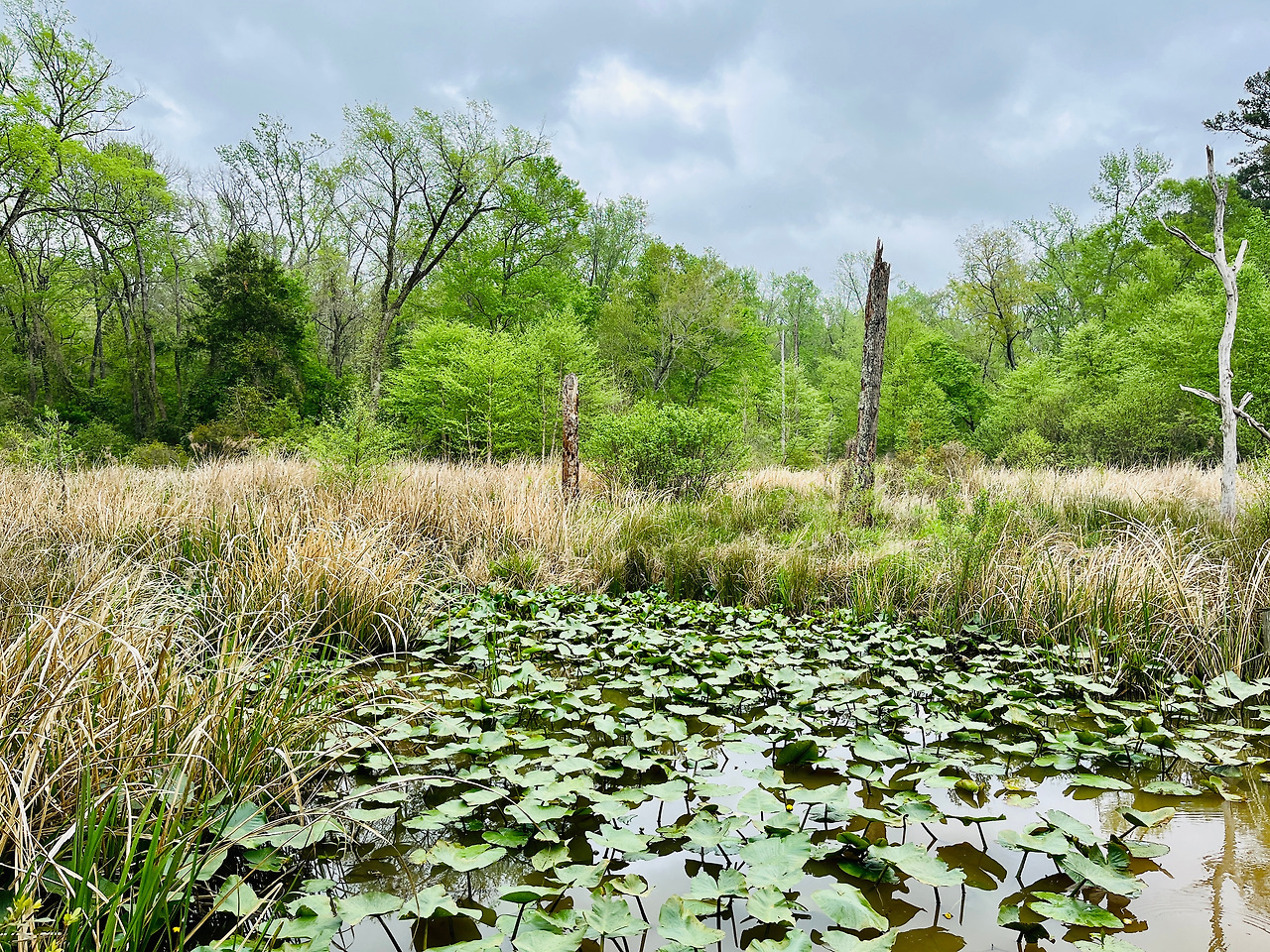 Photo Apr 12, 1 39 59 PM.jpg