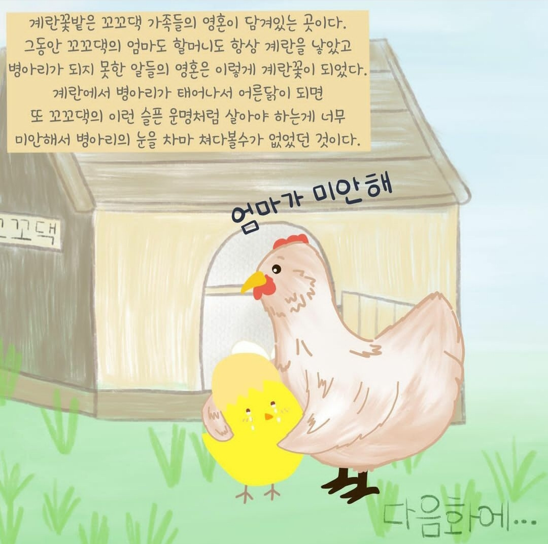 23화 22화. 꼬꼬댁의 사연