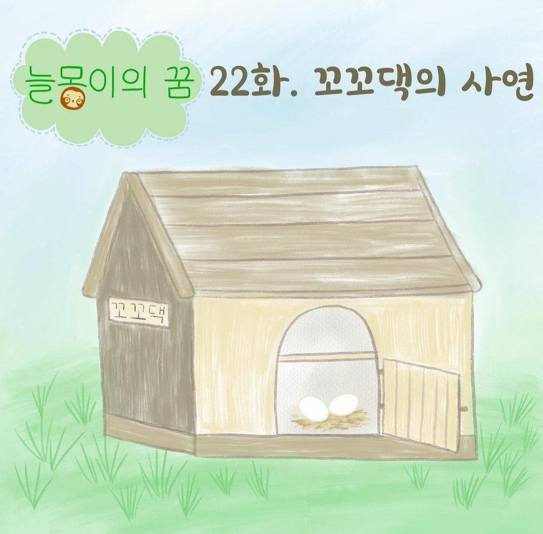 23화 22화. 꼬꼬댁의 사연