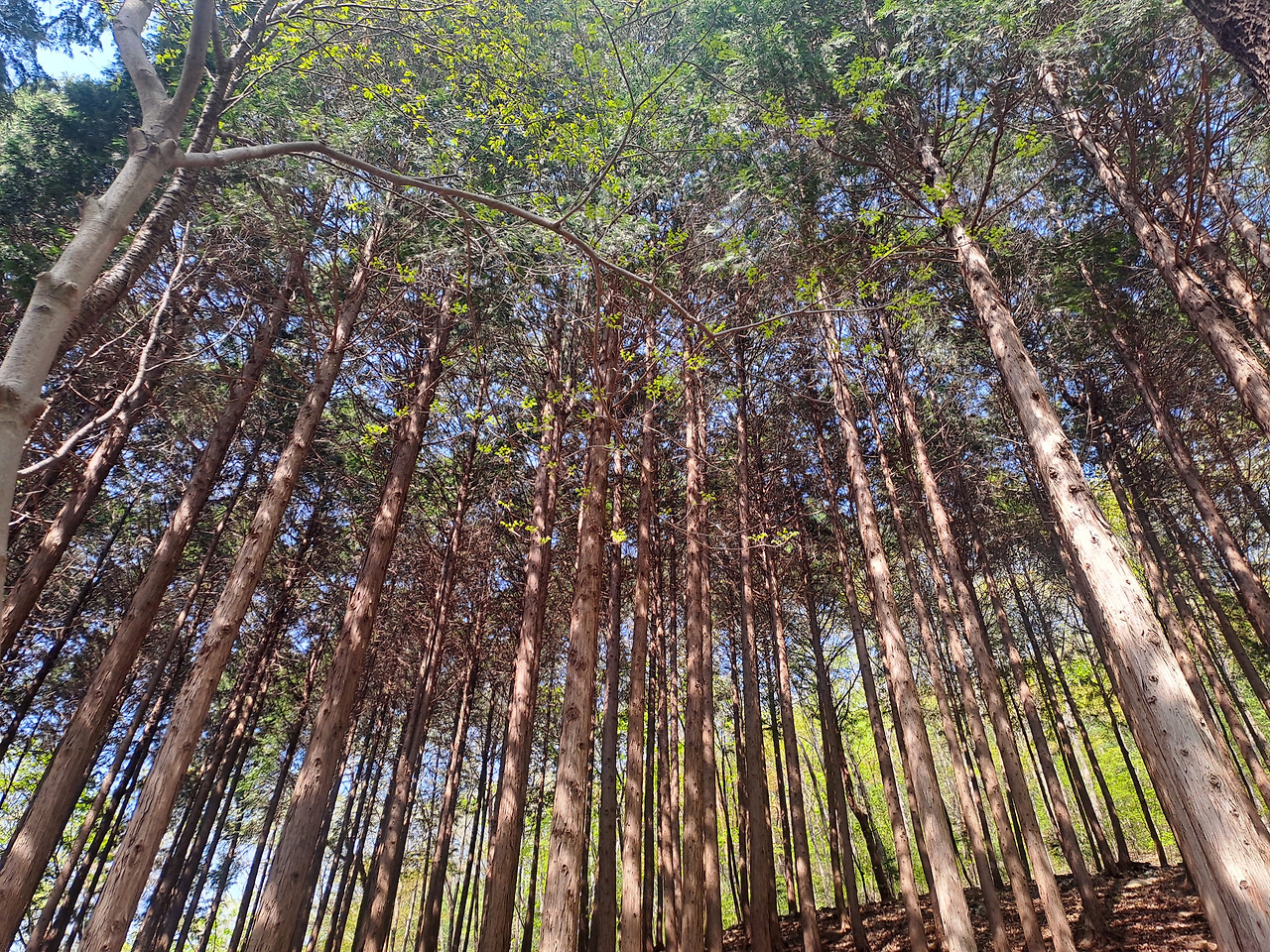 20250426_145052 - 복사본.jpg