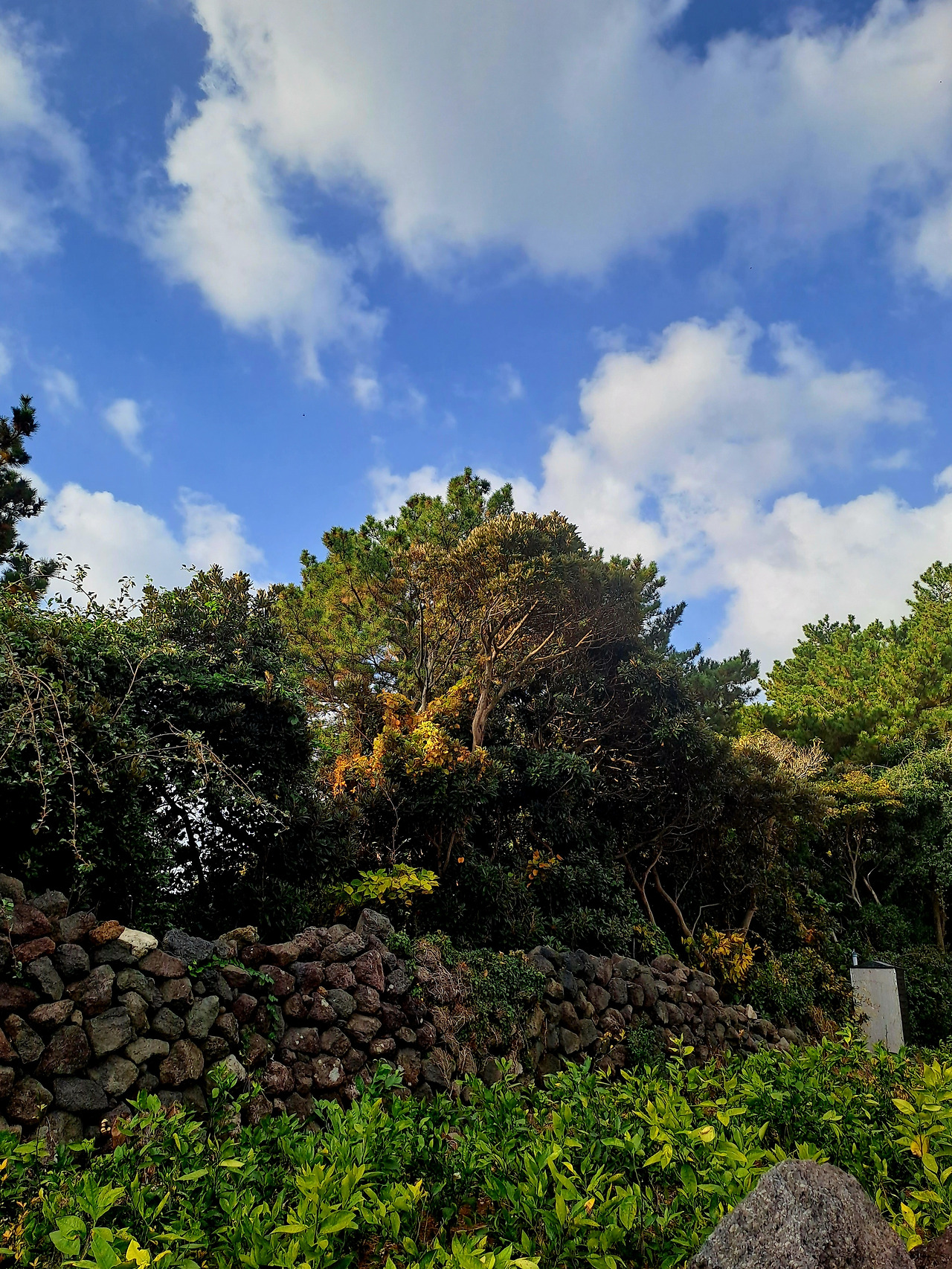 20231208_095404 - 복사본.jpg