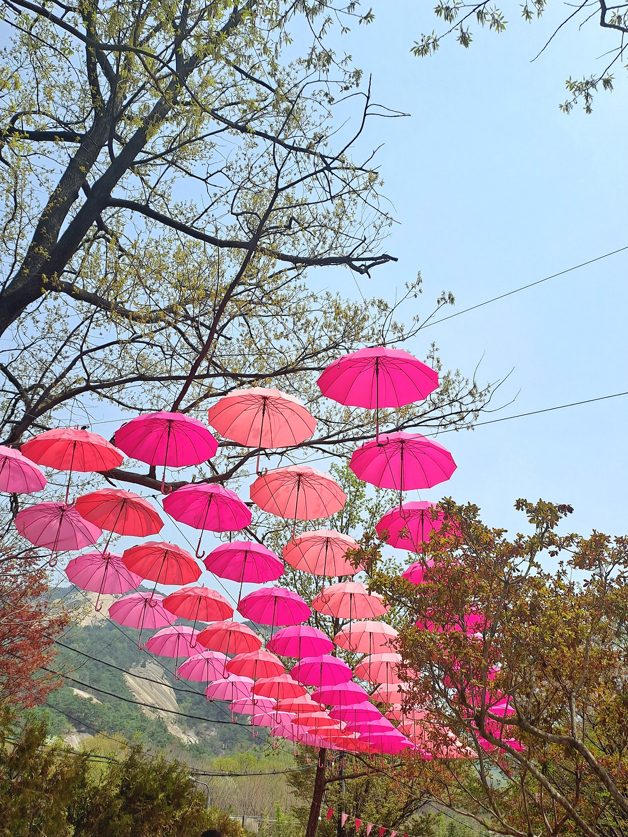 20250418_132305 - 복사본.jpg