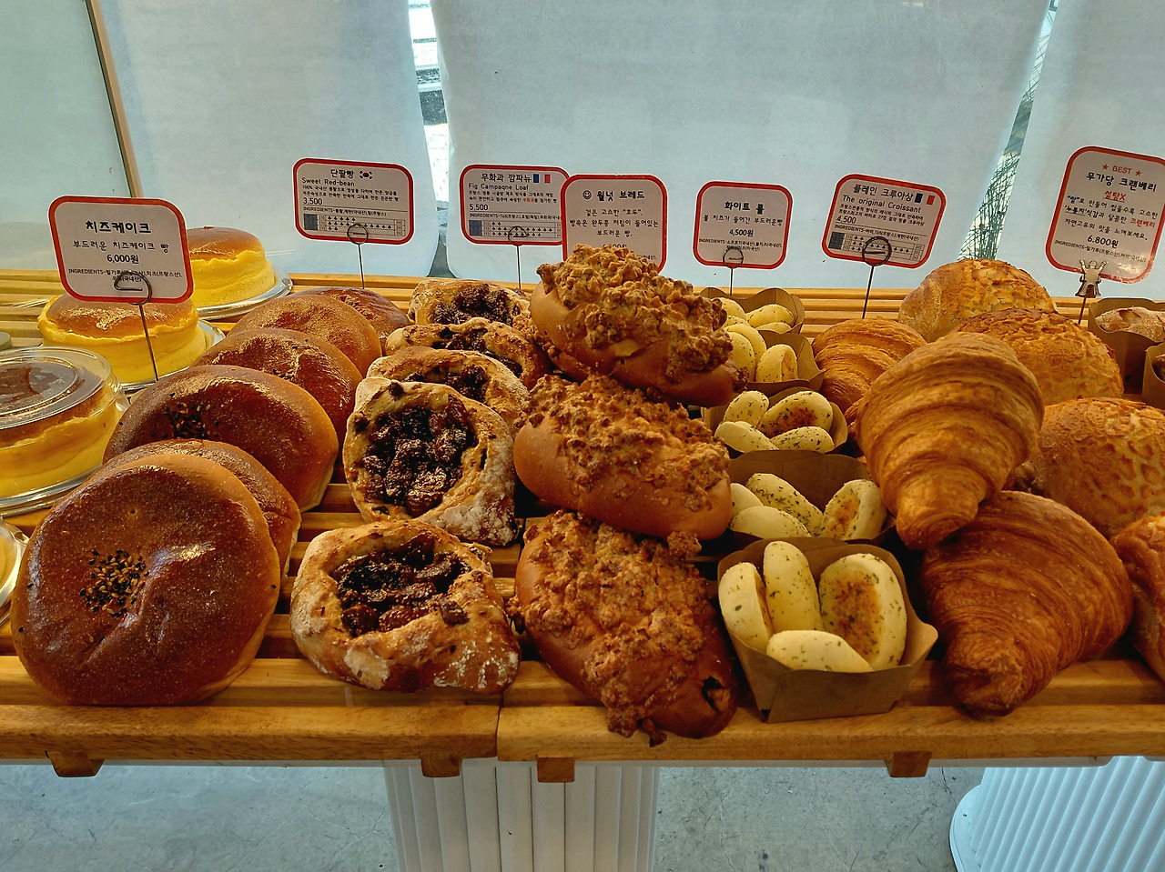 20250911_150451(1) - 복사본.jpg