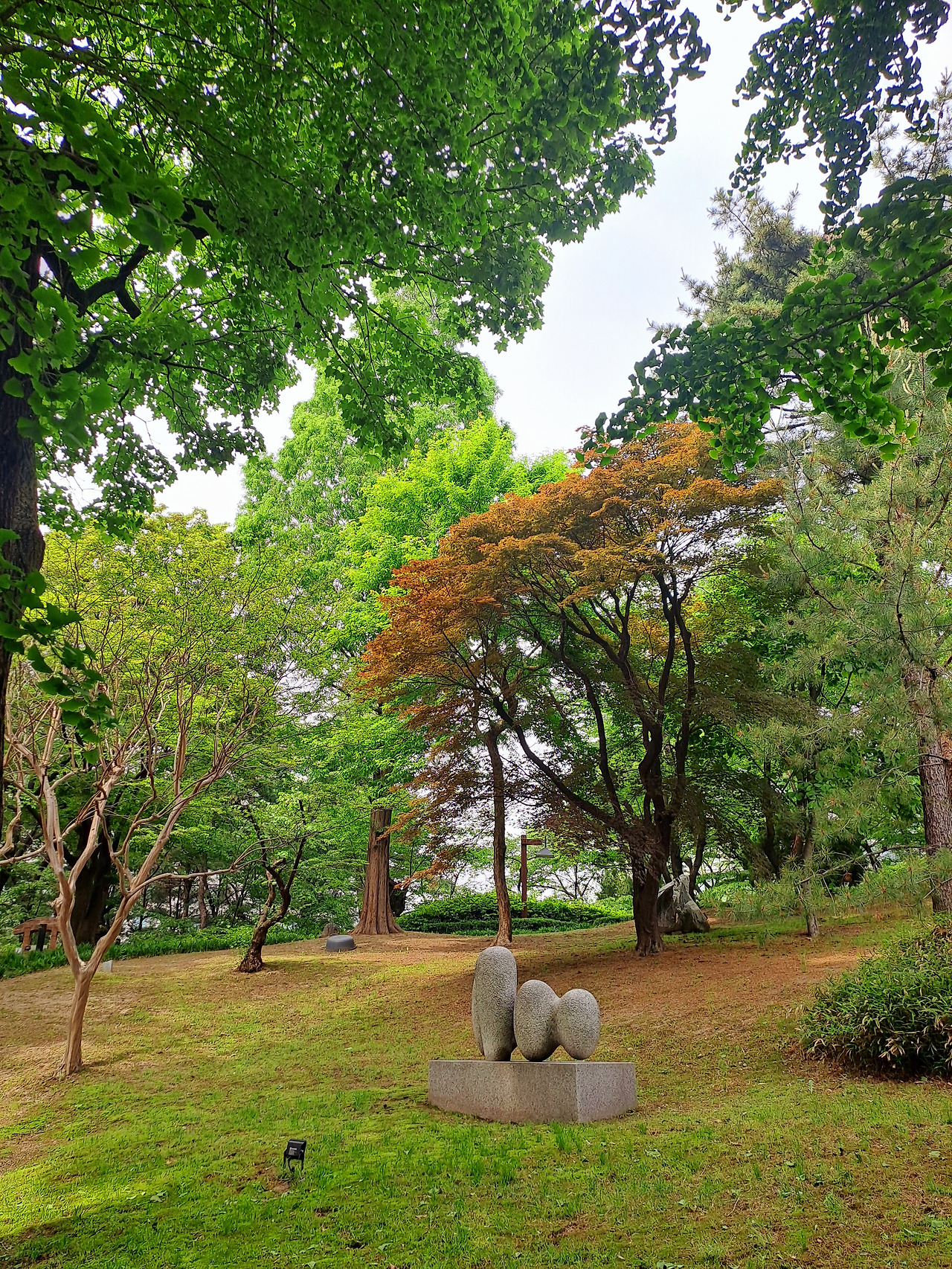 20250514_144251 - 복사본.jpg