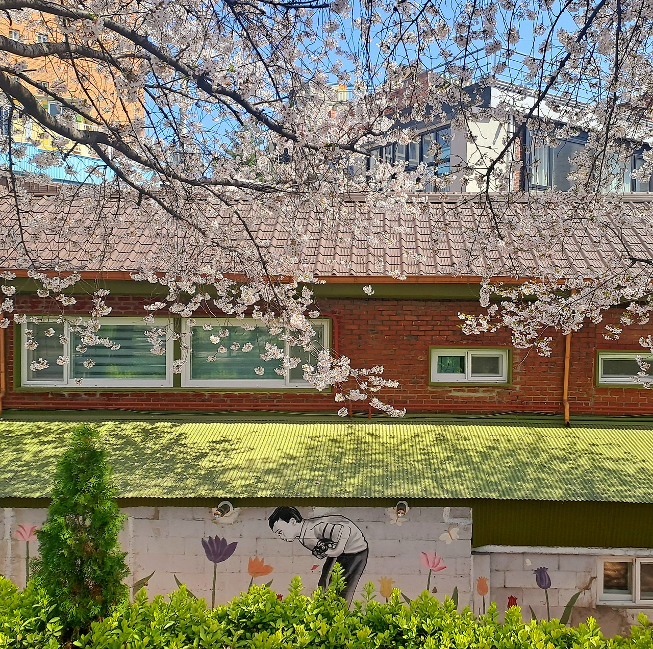 20250411_140146 (1).jpg