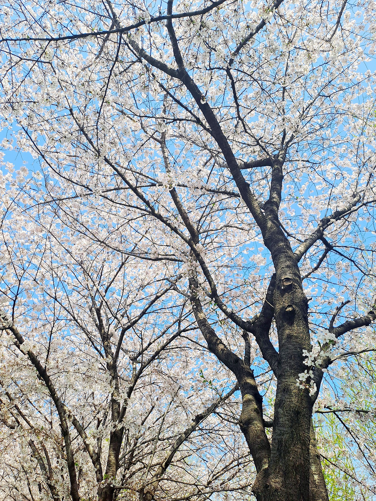 20250411_135230 (1).jpg