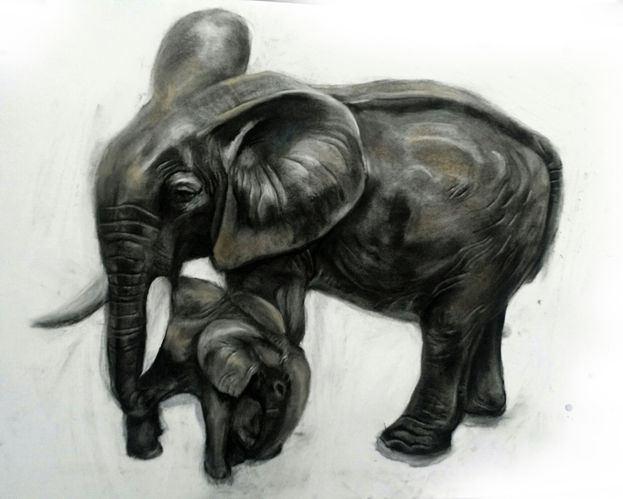 코끼리 모자.jpg