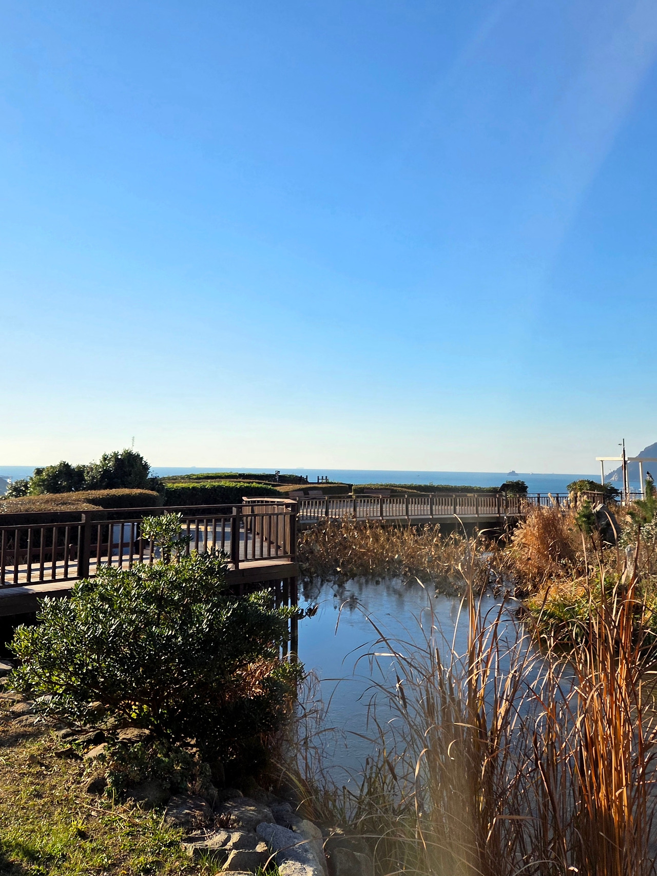 20251205_085342(1) (1).jpg