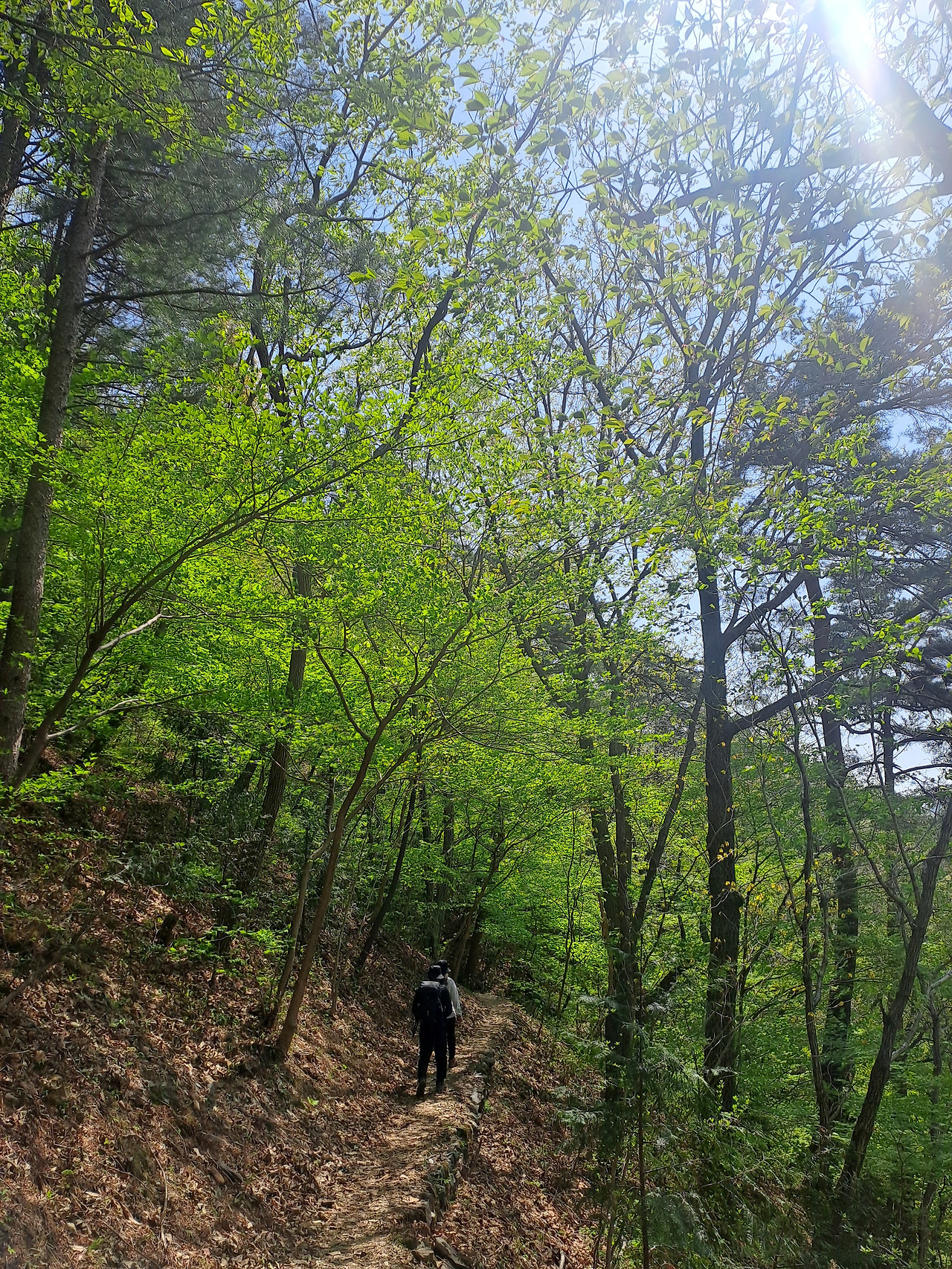 20250426_143441 - 복사본.jpg