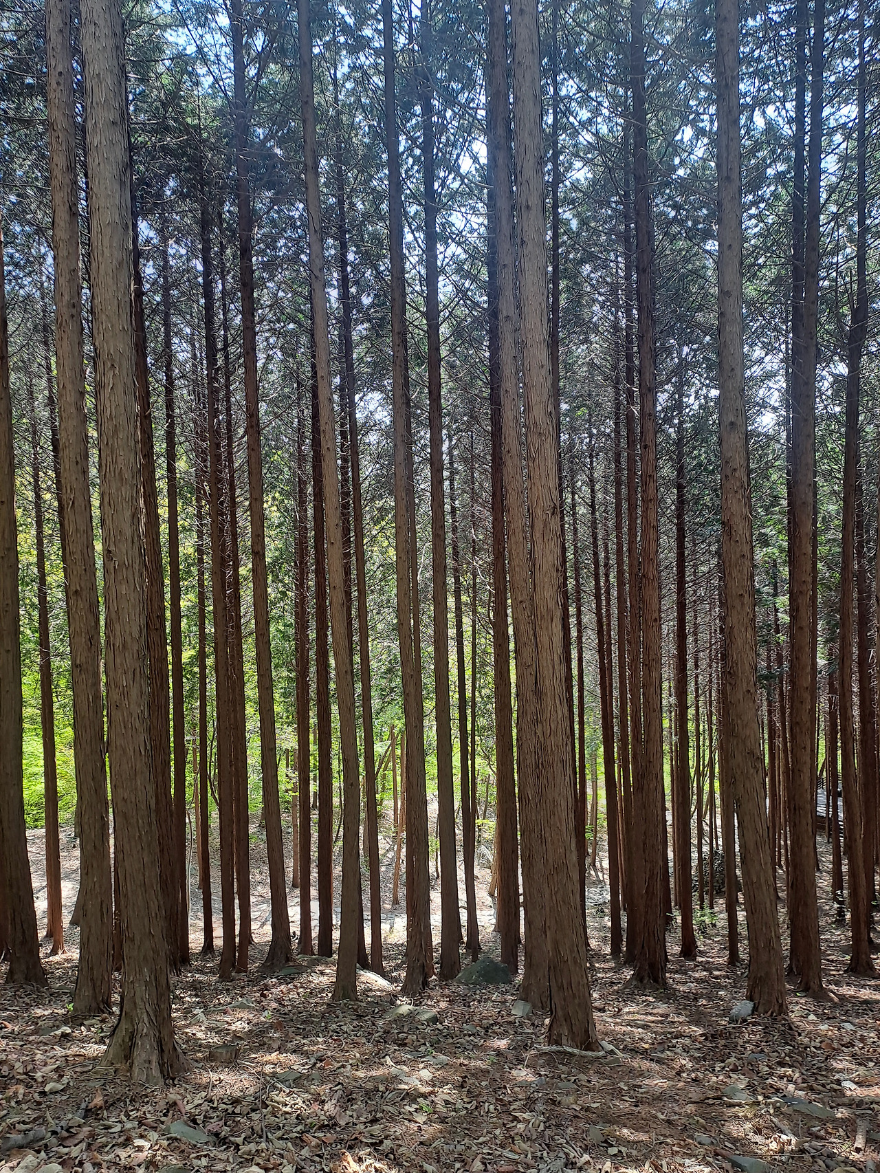 20250426_144720 - 복사본.jpg