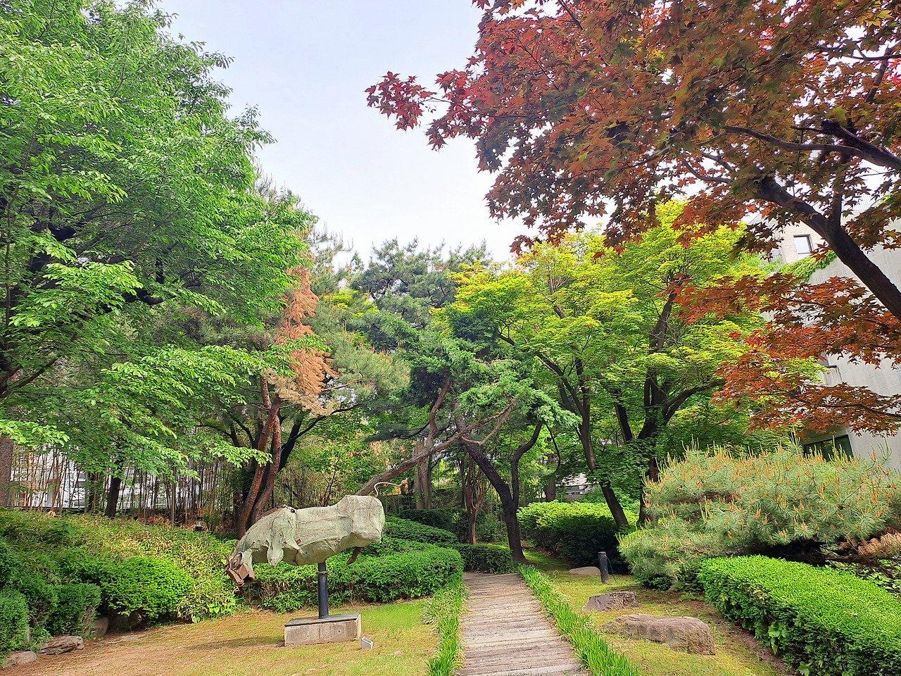 20250514_144216 - 복사본.jpg