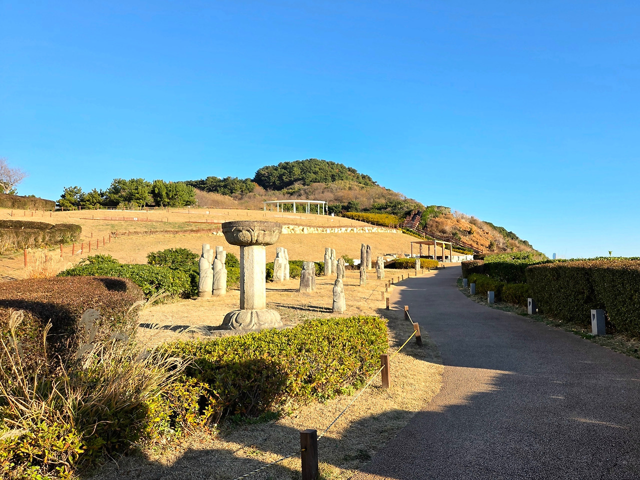 20251205_084715(1) (1).jpg