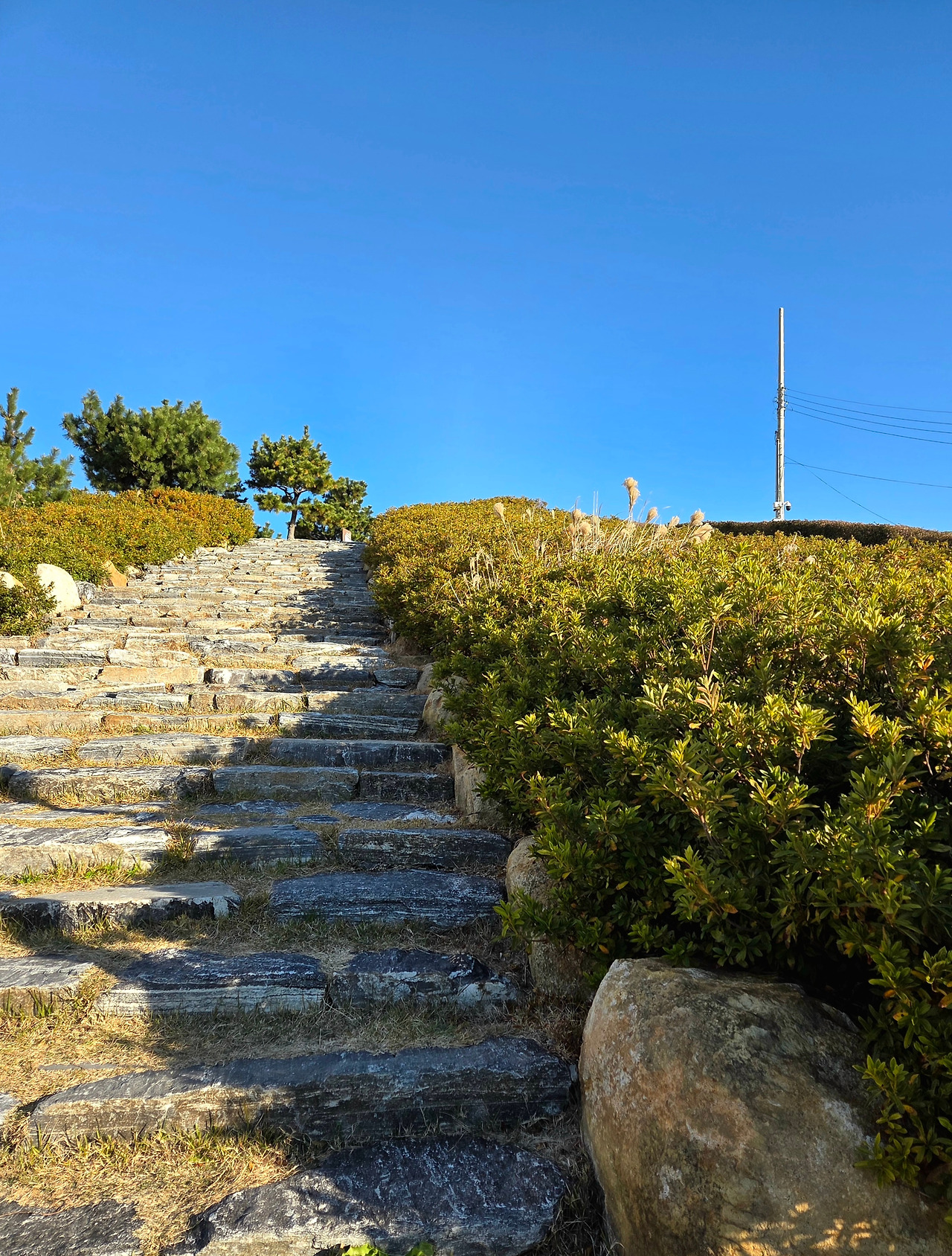 20251205_084534(1) (1).jpg