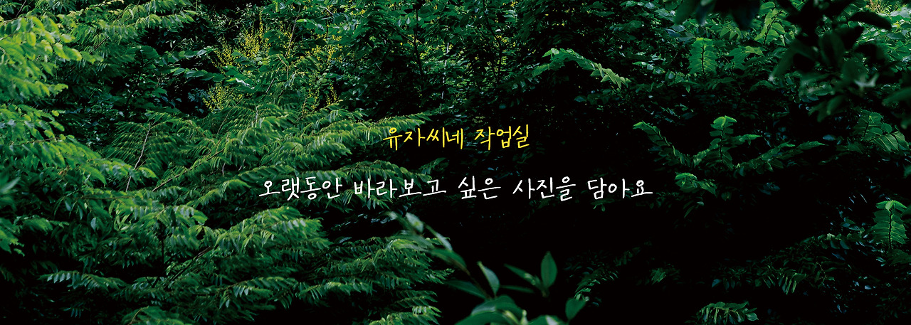 검로드 배너.jpg