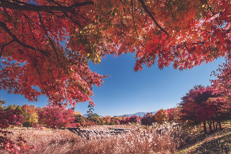 나무고아원 (3).jpg