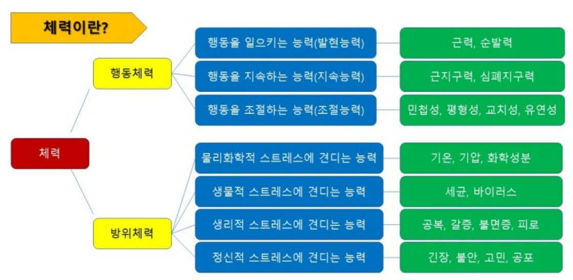 화면 캡처 2025-03-31 105715.jpg